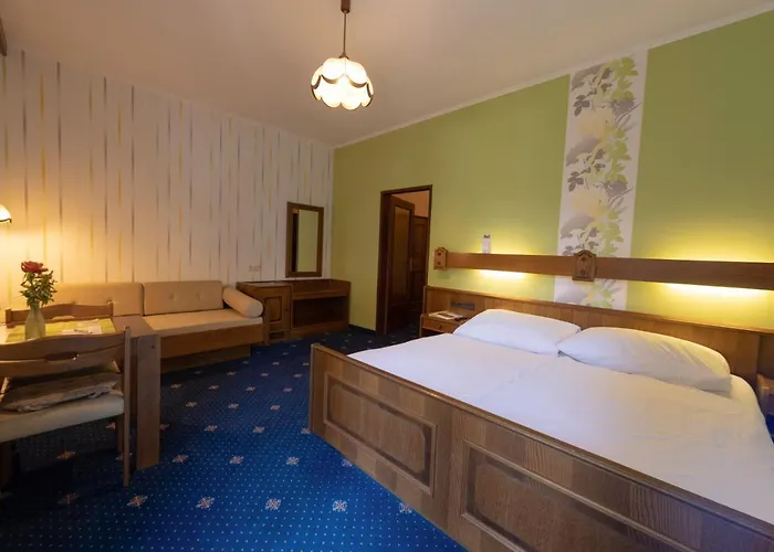 Wienerstub'n ゲストハウス バーデン