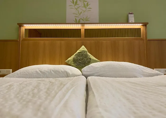 Wienerstub'n ゲストハウス バーデン