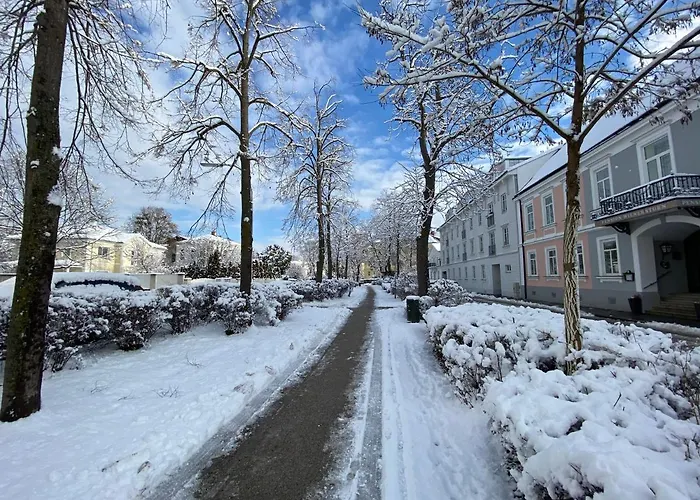 Wienerstub'n ゲストハウス バーデン